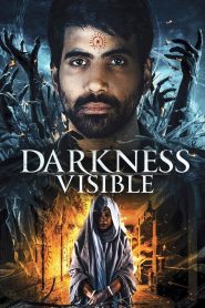 Darkness Visible (2019) HD